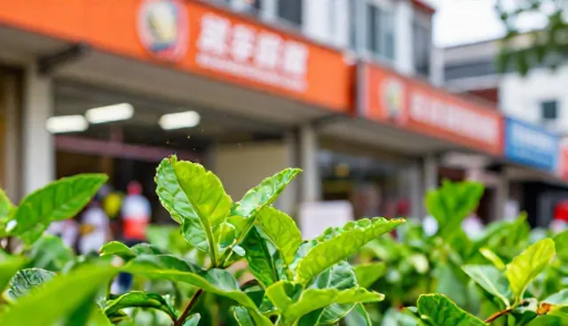 培训设计中管理培训效果受学习动机影响的原因分析